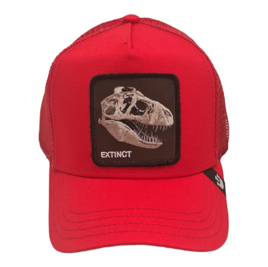 GORRA BONE TO PICK RED